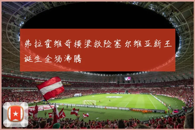 弗拉霍维奇横梁救险塞尔维亚新王诞生全场沸腾