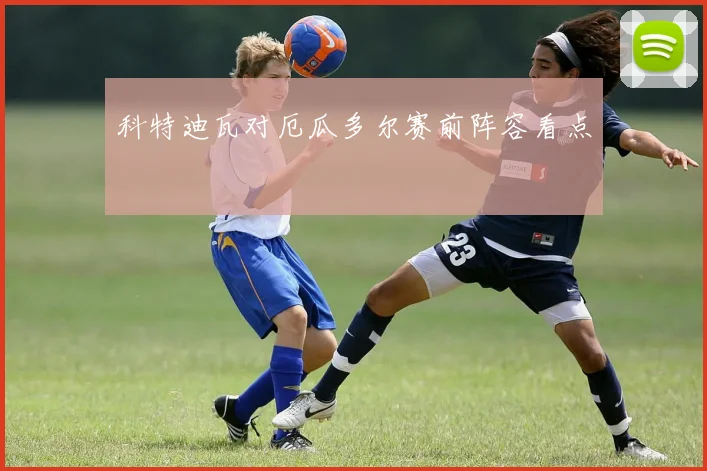 科特迪瓦对厄瓜多尔赛前阵容看点
