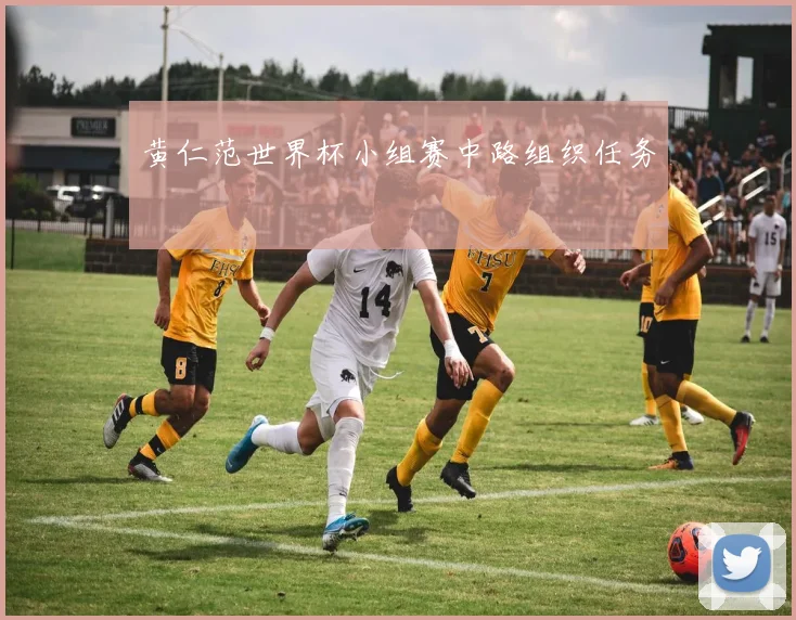 黄仁范世界杯小组赛中路组织任务