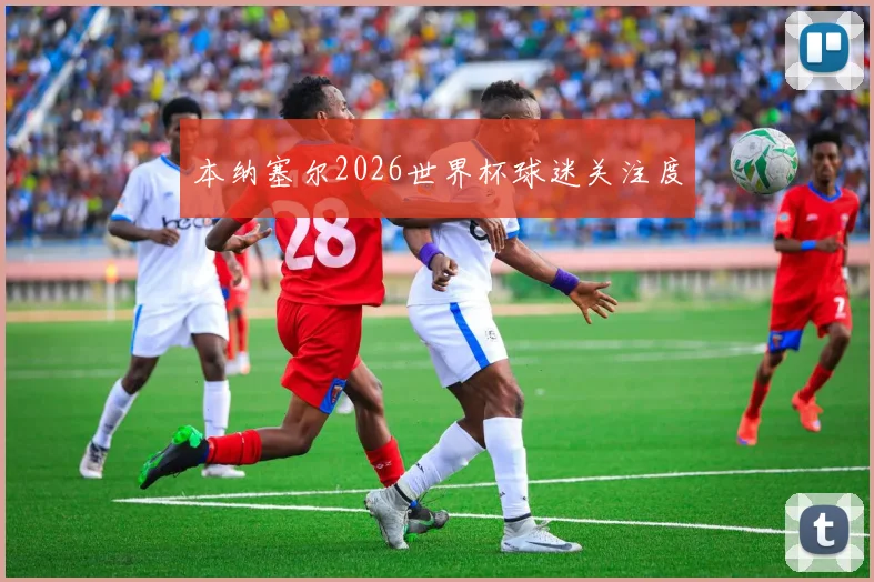 本纳塞尔2026世界杯球迷关注度
