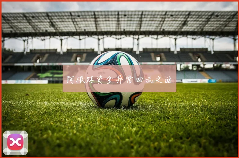 阿根廷资金异常回流之谜 - 必赢体育投注官网