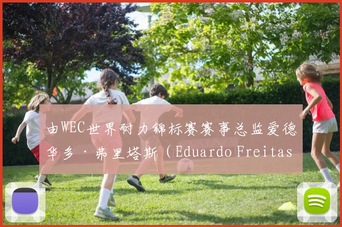 由WEC世界耐力锦标赛赛事总监爱德华多·弗里塔斯（Eduardo Freitas）和DTM赛事总监尼尔·维蒂奇（Niels Wittich）轮流担任此职位 - 必赢体育投注官网