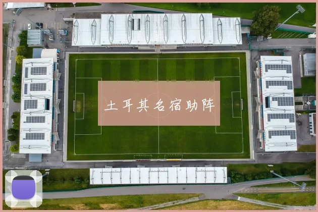 土耳其名宿助阵 - 必赢体育投注官网
