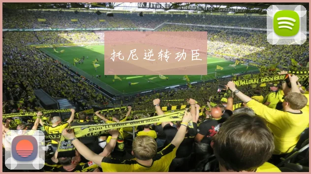 托尼逆转功臣 - 必赢体育投注官网