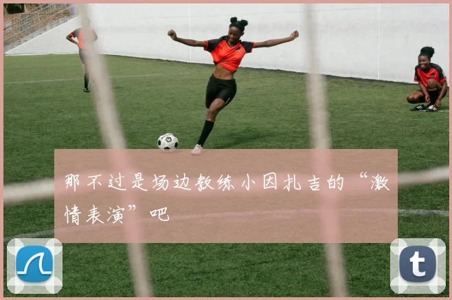 那不过是场边教练小因扎吉的“激情表演”吧 - 必赢体育投注官网