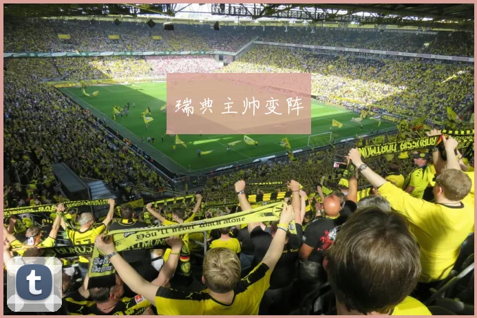 瑞典主帅变阵 - 必赢体育投注官网