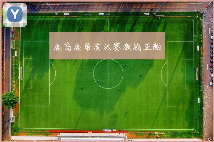 鹿岛鹿角淘汰赛激战正酣 - 必赢体育投注官网
