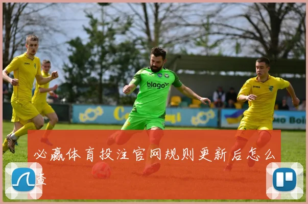 必赢体育投注官网规则更新后怎么查