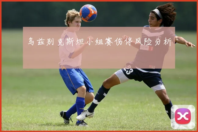 乌兹别克斯坦小组赛伤停风险分析