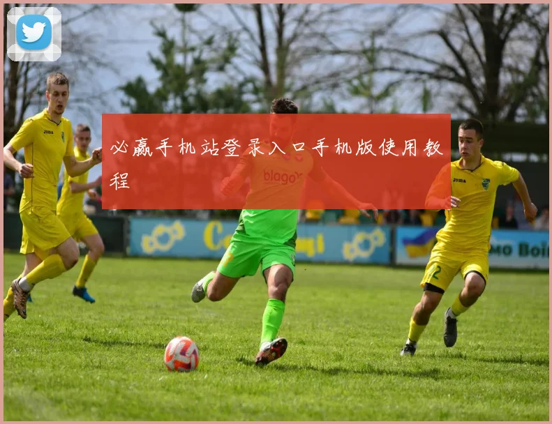 必赢手机站登录入口手机版使用教程